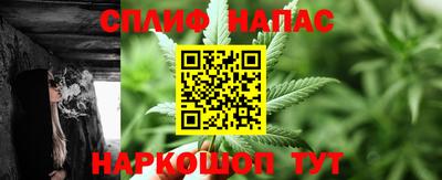 стафф Анжеро-Судженск