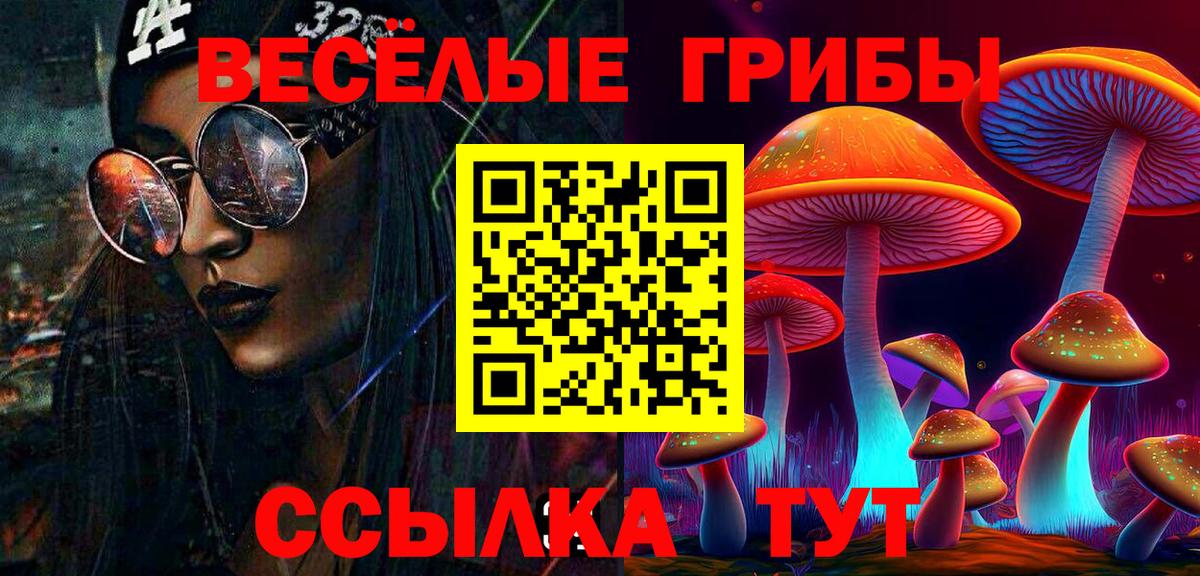 Псилоцибиновые грибы Psilocybe  Вход с VPN  Псилоцибиновые грибы ЛСД  Великий Устюг 